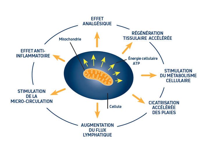 Effets de la photobiomodulation